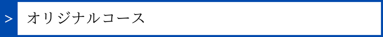 オリジナルコース